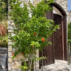 Отель Juliet Suite Studio in Dhoros, фото 9