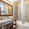 Отель Comfort Suites Near Texas State University, фото 8