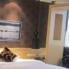 Отель Zhengyuan Mingyin International Hotel, фото 9