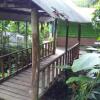 Отель Bromelias Corcovado Hotel y Finca, фото 30
