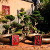 Отель Linxi Wushan Inn, фото 16