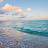 Отель Holiday Inn Miami Beach - Oceanfront, an IHG Hotel, фото 29