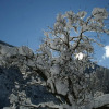 Отель Des Alpes 2, фото 11