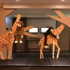 Отель ARK Hotel-Chang'an Fuxing, фото 21