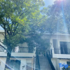 Отель Luofu Mountain Fengguyuan Streamside Homestay, фото 8