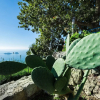 Отель Casa il Nibbio, фото 16