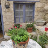 Отель Chambres D'Hotes La Maison De Flore, фото 7