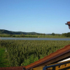 Отель Ferienwohnung Blütenmeer, фото 5