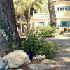 Отель Beachfront self-catering studios in Psatha Bay - 60km from Athens, фото 35