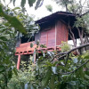 Отель Dambulla Tree House, фото 6