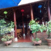 Отель Phong Nha Dawn Homestay, фото 1