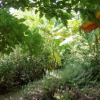Отель Greek Island Guest House Samos Island, фото 14