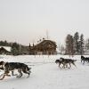 Отель Auberge du Lac Taureau, фото 26