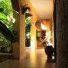 Отель Orquidea Guest House, фото 19