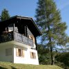 Отель Chalet 1005, фото 3