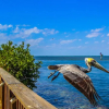 Отель Florida Bay Club, фото 8