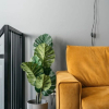 Отель Urban Apartment In Historical Townhouse With Gym Wellness Transport Offer, фото 2
