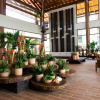 Отель Samoa Beach Resort, фото 37