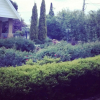 Отель Applebay Guest House, фото 5