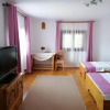 Отель Pensiunea Ioana, фото 4
