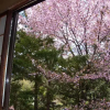 Отель Onsen Minshuku Kofuji So, фото 1