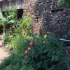 Отель Hamam Hostel 1469 (Adults only), фото 12