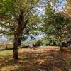 Отель Classy Farmhouse in Castelfranco Piandiscò With Garden, фото 25