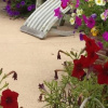 Отель RelaxInn Bed & Breakfast, фото 17