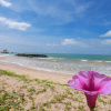Отель Sea View Villa, фото 15