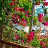 Отель Garden Lodge, фото 24