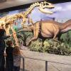 Отель Holiday Inn Express Suites Dinosaurland, фото 26