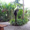 Отель Cabinas Tropicales Puerto Jimenez, фото 28