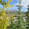 Отель Luxury 3 Bedroom Mountain Vacation Rental in Breckenridge Just Two Blocks From Downtown, фото 16