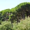 Отель Les Jardins De Sainte Maxime, фото 32