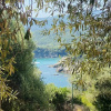 Отель ''Mary's House'' Entire residence Olympiada Halkidiki Near to See 200m!, фото 41