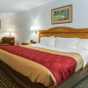 Отель Econo Lodge Havelock, фото 4