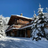 Отель Chalet Ruitor, Chalet 500 M2 Luxueux de Caractere, фото 6