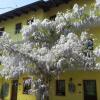 Отель Agriturismo Tra Serra e Lago, фото 6