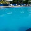 Отель The Liguanea Club Отель The Liguanea Club в Кингстоне