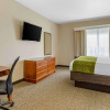 Отель Comfort Inn & Suites Davenport - Quad Cities, фото 4
