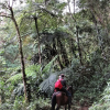 Отель Finca Los Arboles, фото 29