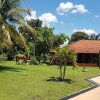 Отель Pantanal Park Hotel, фото 48