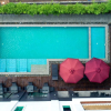 Отель The Palm Palace Resort, фото 13