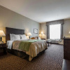 Отель Comfort Inn Surrey Hotel, фото 4