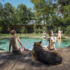 Отель Samurai Beach Bungalows Port Stephens YHA - Hostel, фото 14