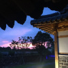 Отель Canopus Resort Pension, фото 4