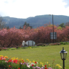 Отель Westlands of Pitlochry, фото 39