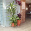 Отель Suites House Juanambu, фото 13