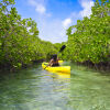 Отель Sailrock South Caicos - Island Hop Flight Included, фото 26