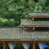 Отель Tongqu Yinquan Hot Spring Resort, фото 16